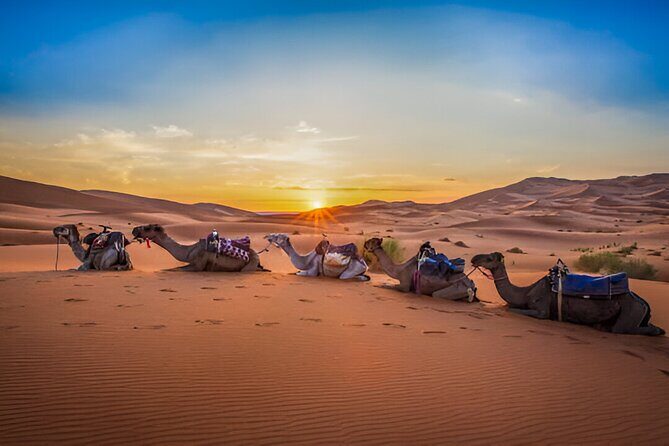 3Days 2Nights Moroccan Desert Expedition From Fes to Marrakech - An In-Depth Look at the 3-Day Morocco Desert Tour