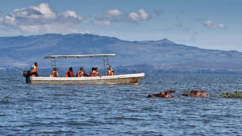 3Days Bird Watching Lake Bogoria, Lake Naivasha& Lake Nakuru - Who Will Love This Tour?