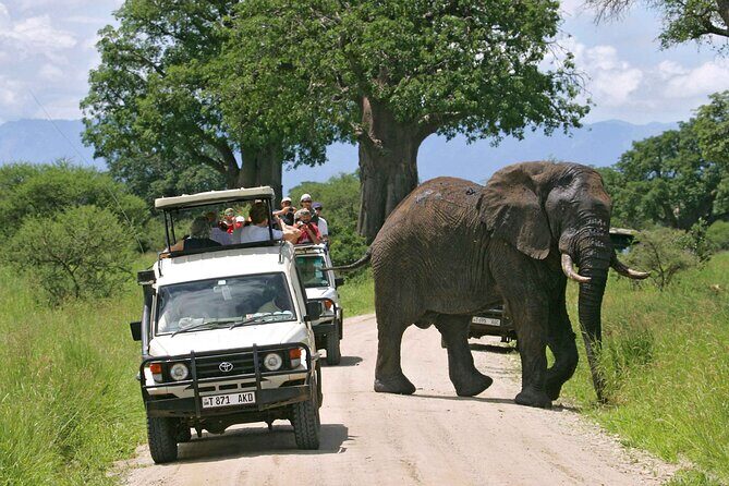 3Days luxury safari to Tarangire Ngorongoro crater and Manyara - An In-Depth Look at the 3-Day Safari Experience
