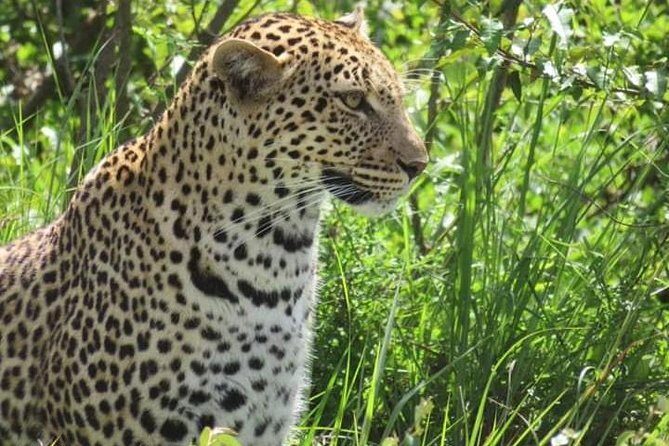3days masai mara best of lodge safari - What’s Included and Whats Not?