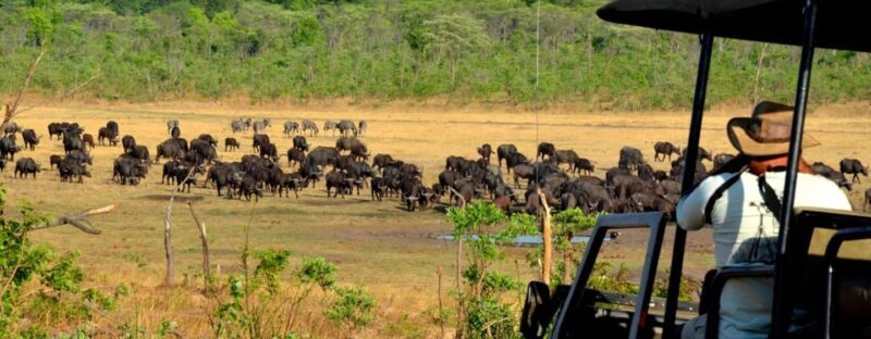 3Days Masai Mara Camping Safari with a 4x4 Land Cruiser Jeep - Authenticity & Value