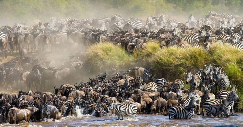 3days Masai Mara Lodge Safari with a 4x4 Land Cruiser Jeep - Introduction to the Safari Experience