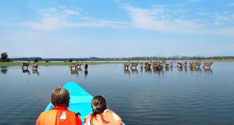 3Days Masai Mara & Naivasha Boat ride Group Joining Camping - Exploring the Itinerary in Detail