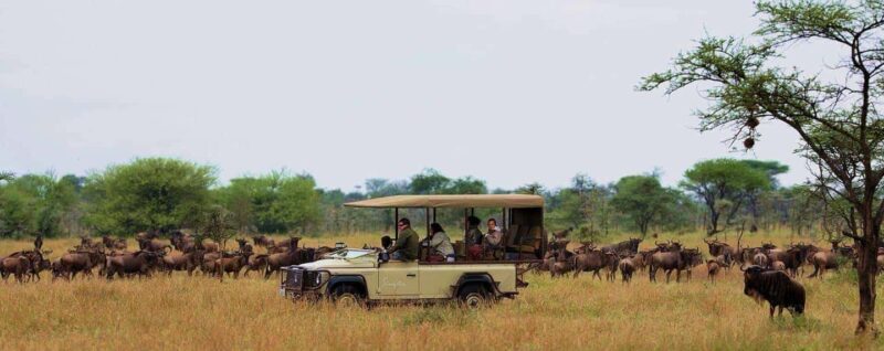 3Days Masai Mara & Naivasha Boat ride Group Joining Camping - Final Thoughts