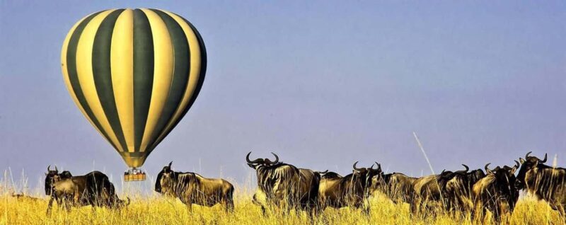 3Days Masai Mara Safari with Hot Air Balloon Ride Experience - An In-Depth Look at the 3-Day Masai Mara Safari