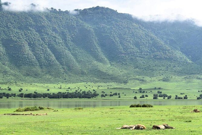 3days Serengeti National park and Ngorongoro Crater Tanzania Safari - A Practical Guide to the 3-Day Serengeti and Ngorongoro Safari