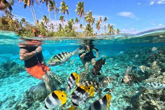 3H Adventure in JET SKI Snorkeling and Tahaa Lagoon - Key Points