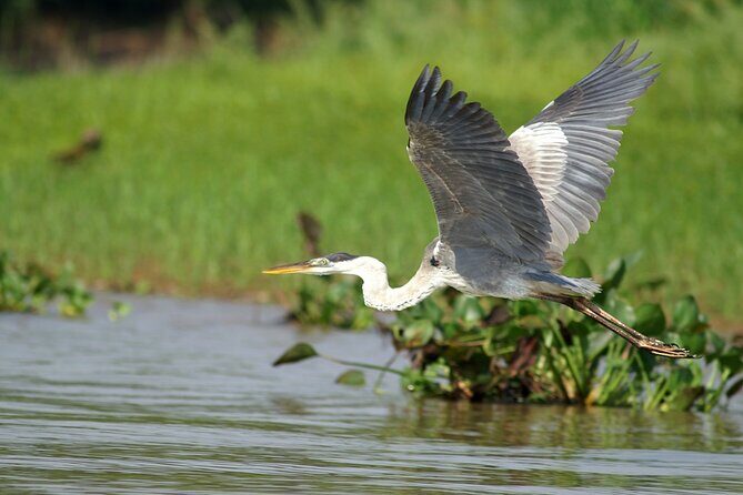 3h Boat Safari - Montreals Nature and Iconic Attractions Tour - Frequently Asked Questions (FAQs)