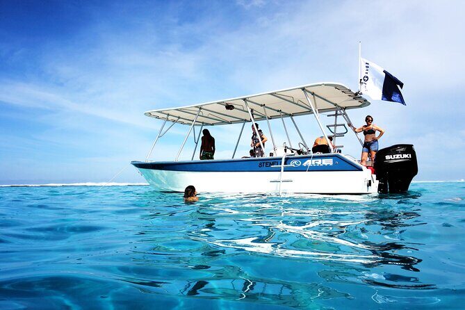 3h dolphin and snorkeling tour in a wild lagoon with Mobydick - FAQ