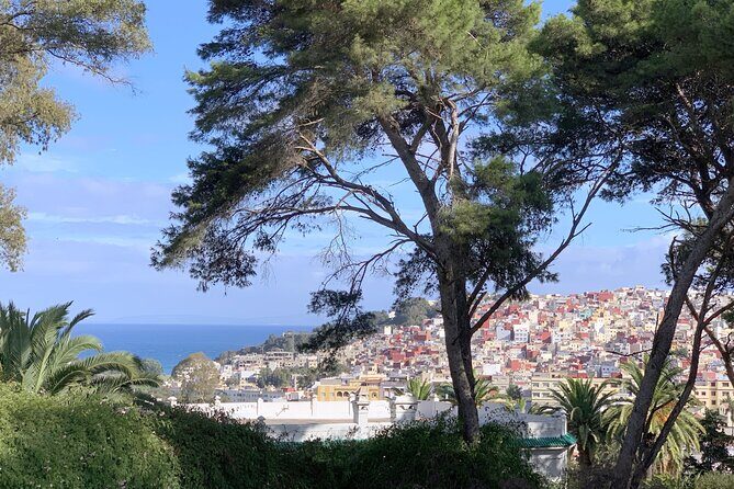 3h Private Walking Tour in Tangier Kasbah Medina & Colorful Souks - The Sum Up