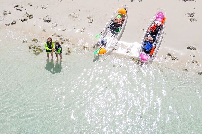 3HR Clear Kayak Mangrove and iguana island Tour in Leeward - Whats Included and Whats Not