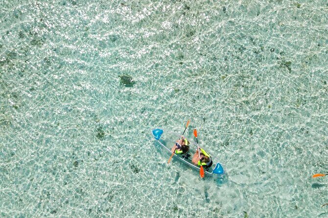 3HR Clear Kayak Mangrove and iguana island Tour in Leeward - FAQ