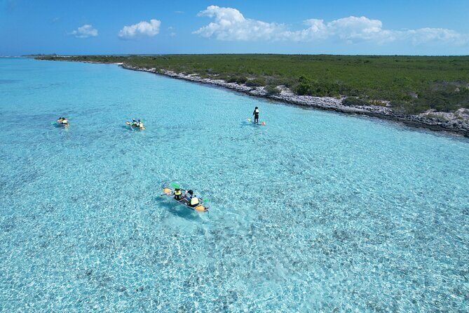 3hr Clear Kayak Tour of Mangroves, Marine Life and Iguanas - An Honest Look at the 3-Hour Clear Kayak Tour