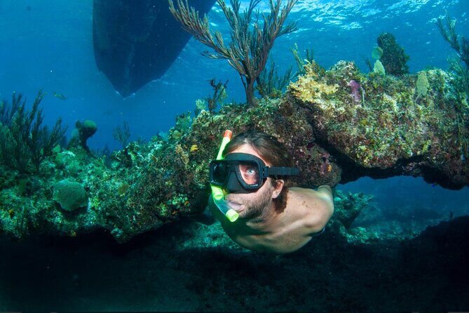 3HR Emerald reef snorkeling, iguana island and shipwreck tour - A Practical Look at the 3HR Emerald Reef Snorkeling, Iguana Island, and Shipwreck Tour