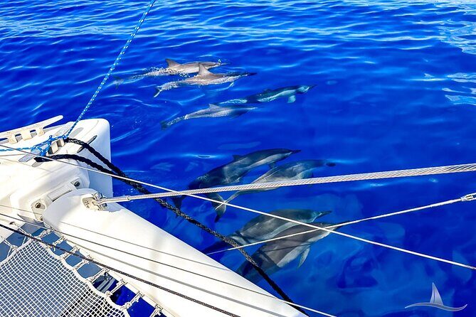 3hr Luxury Private Sailing Catamaran in Waikiki for 1 to 6 People - Final Thoughts: Who Should Book This?
