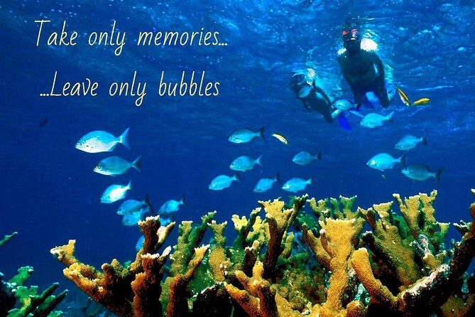 4 .5 Hour Molokini Snorkel Tour Adventure in Maui - FAQ