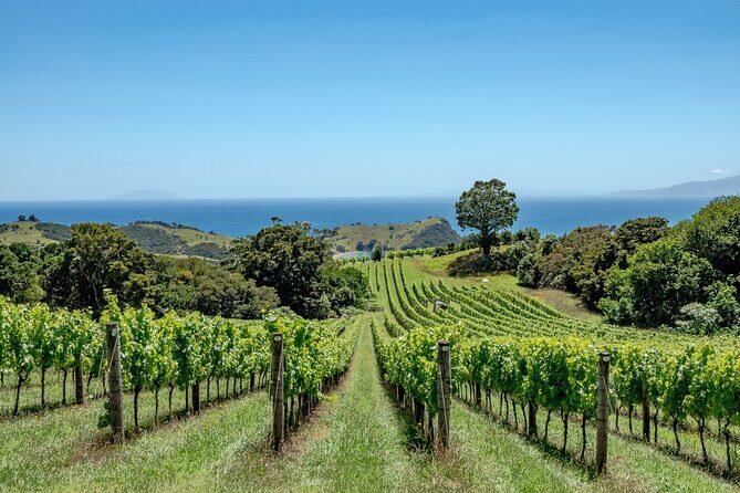 4.5-Hour Scenic Wine Tour with Private Guide & Up to 12 Tastings - Who Will Love This Tour?