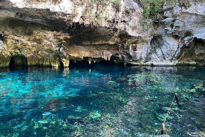 4 best spots in Cancún 1day! CHICHÉN ITZÁ, 2CENOTES, PINK LAKE - An In-Depth Look at the Itinerary