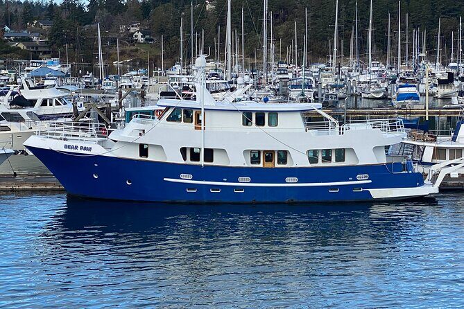 4 Course Dinner Luxury Yacht Dinner cruise out of Friday Harbor - Introducing the 4 Course Dinner Luxury Yacht Cruise out of Friday Harbor