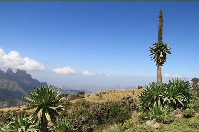 4 Day Adventure Tour in Simien Mountains - Final Thoughts