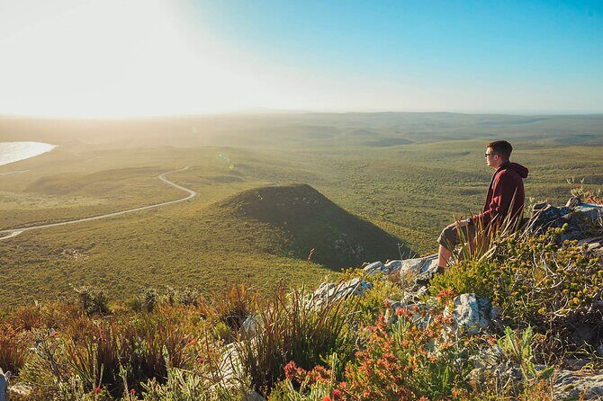 4 Day Albany Margaret River, Valley of the Giants Tour from Perth - Final Thoughts
