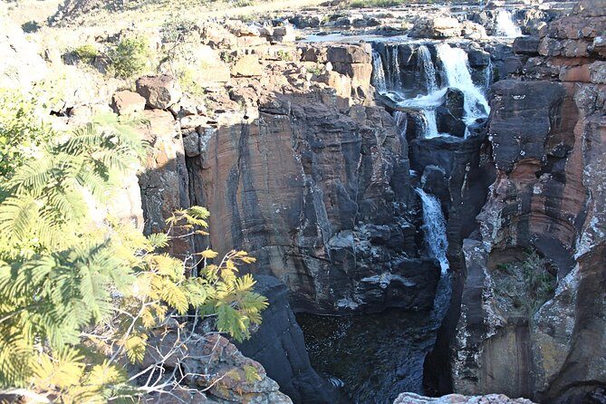 4 Day All Incl. Private Kruger Park Safari and Transfer From Nelspruit - Authenticity and Feedback from Travelers