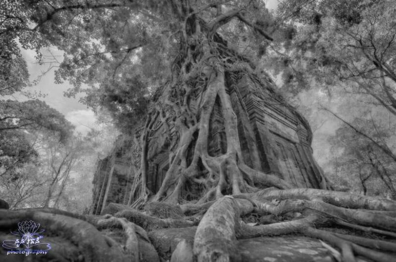 4-Day Angkor Wat, Kulen Mount, Koh Ker Group & Beng Mealea - Why This Tour Offers Great Value