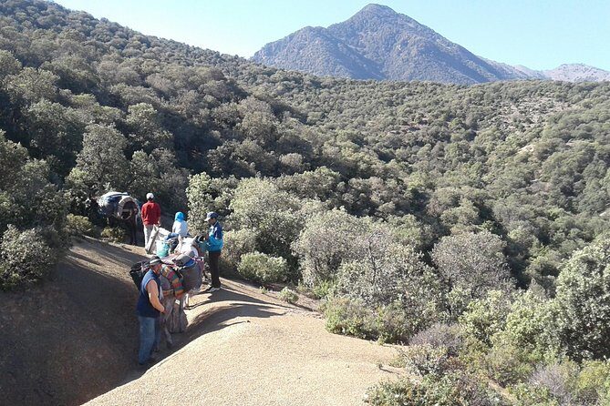 4-Day Atlas Mountains Family Trek - Discovering the Atlas Mountains: what to expect