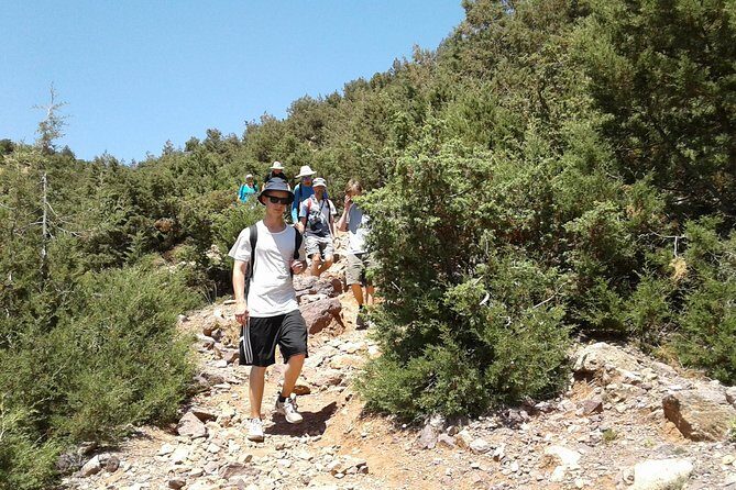 4-Day Atlas Mountains Family Trek - Practical Details and What It Means for You