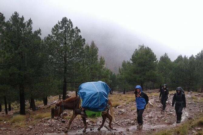 4-Day Atlas Mountains Family Trek - FAQ