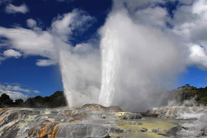4-Day Auckland to Wellington via Rotorua Tour - Final Assessment