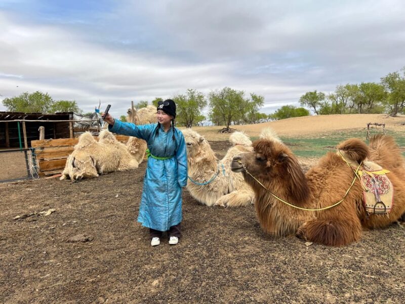 4 Day Best of Central Mongolia tour, Chinggis Khan statue - What Makes This Tour Stand Out