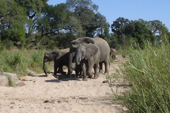 4-Day Best Of eSwatini Tour- The African experience - An In-Depth Review of the 4-Day Best of eSwatini Tour