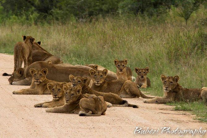 4 Day Bubezi Classic Safari & Panoramic Tour - Key Points