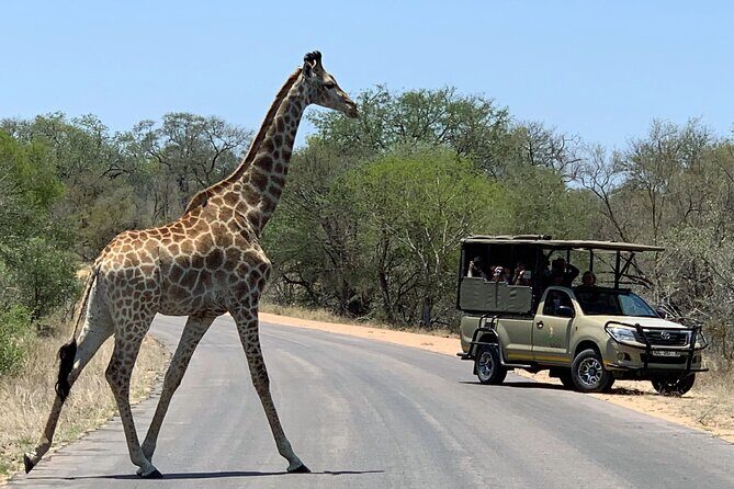 4 Day Bubezi Classic Safari & Panoramic Tour - Final Thoughts