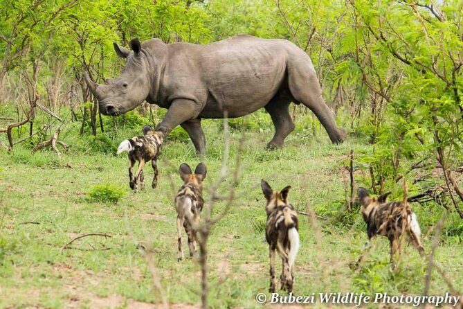 4 Day Bubezi Classic Safari & Panoramic Tour - FAQ