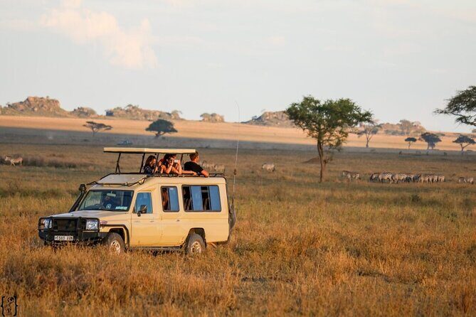 4-Day Budget Tarangire, Serengeti, Ngorongoro Safari Guided Tour - Itinerary Breakdown: What You Can Expect Each Day