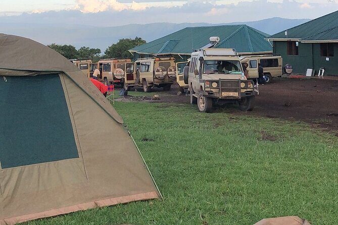 4-Day Budget Tarangire, Serengeti, Ngorongoro Safari Guided Tour - Who Would This Tour Suit Best?