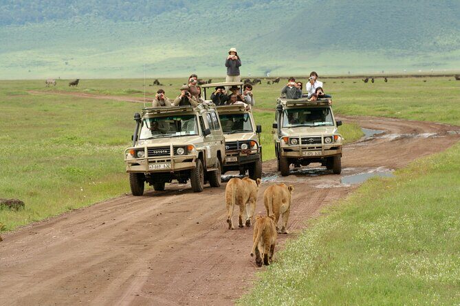 4-Day Camping on the Big Five Private Safari - The Sum Up