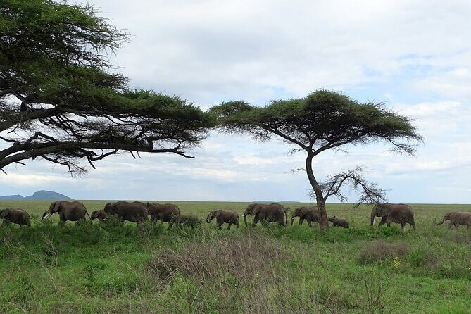 4-Day Camping on the Big Five Private Safari - FAQ