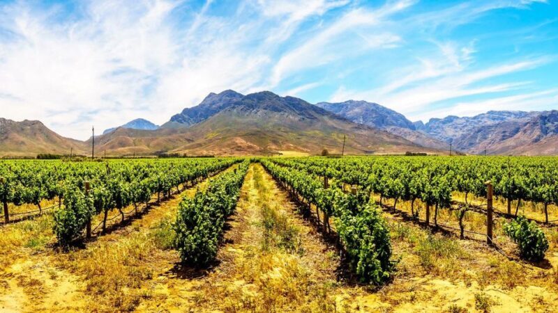 4 Day Cape Town Essential Tour & Big 5 Safari At Inverdoorn - What This Tour Means for You