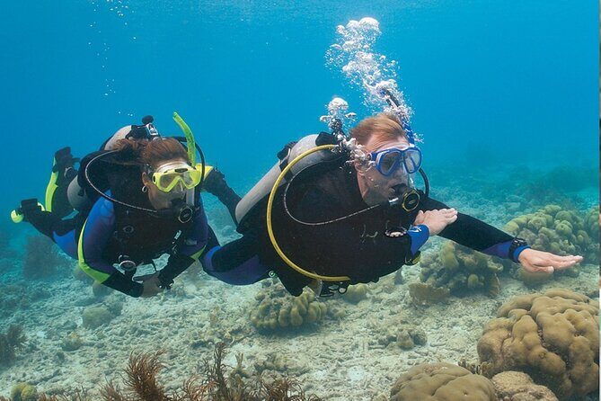 4 Day Certified PADI Open Water Scuba Diver in Dubai - The Dive Center and Customer Experience