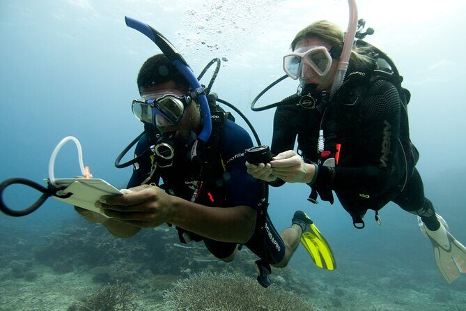 4 Day Certified PADI Open Water Scuba Diver in Dubai - Who Is This Course Best Suited For?