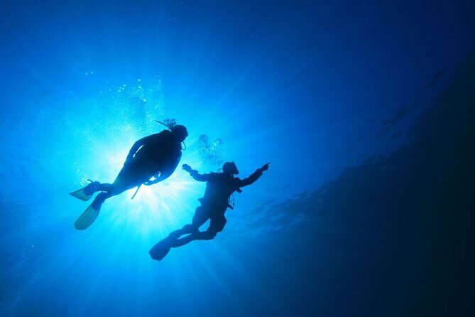 4 Day Certified PADI Open Water Scuba Diver in Dubai - The Sum Up