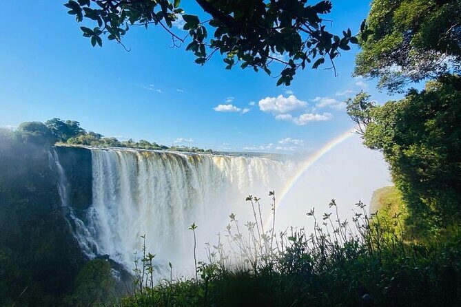 4 Day Chobe Safari Park and Victoria Falls Combo - The Sum Up: Who Is This Tour Best For?