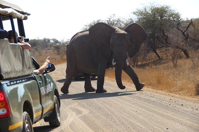 4 Day Classic Kruger National Park Safari - Day 4: Final Morning and Scenic Highlights