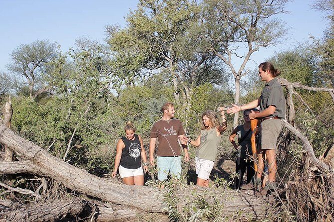 4 Day Classic Kruger National Park Safari - Who Should Consider This Tour?