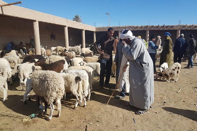 4-Day Desert Tour with 2-nights Glamping Experience: the Best for desert lovers - Exploring the Kasbahs and Roses Valley