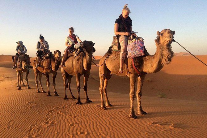 4-Day Desert Tour with 2-nights Glamping Experience: the Best for desert lovers - Evening Activities & Night Sky