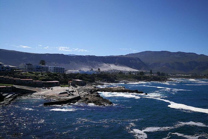 4 Day Garden Route Adventure & Safari - FAQ: Your Practical Questions Answered